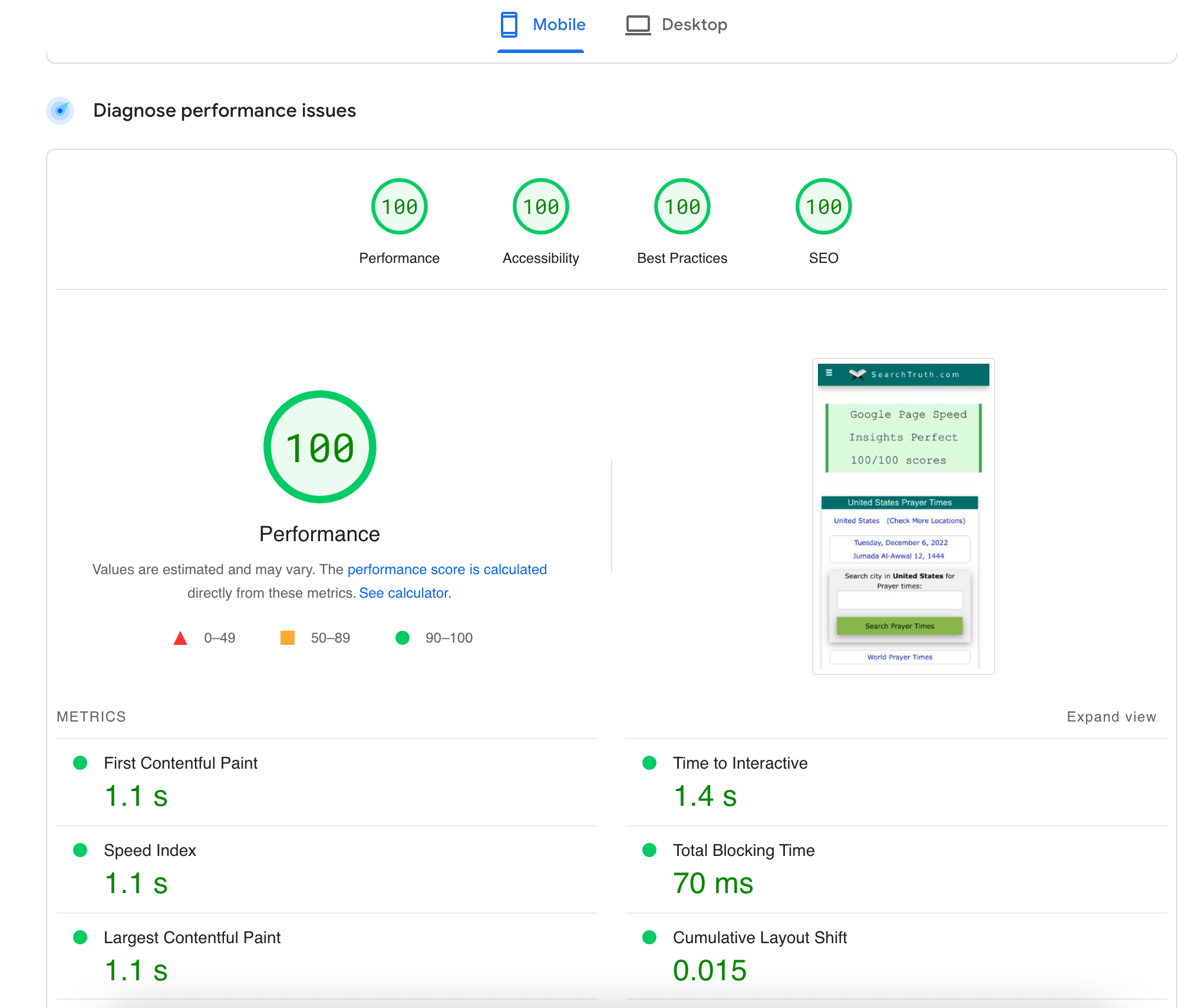 Google Page Speed Insights Perfect 100/100 scores